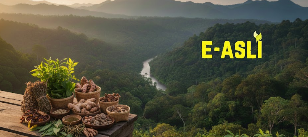 e-Asli Hero Image 4
